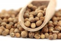 Coreandro en grano